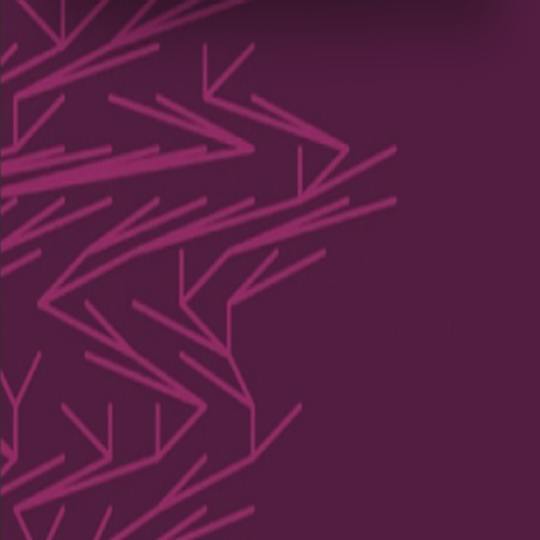 Portada: Combinatoria analítica