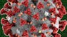 Hacking COVID-19: Metabolic Pathway Analysis Yields SARS-CoV-2 Drug Targets