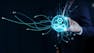 DevOps Platforms & Source Control
