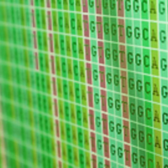 Portada: Bioinformática vegetal