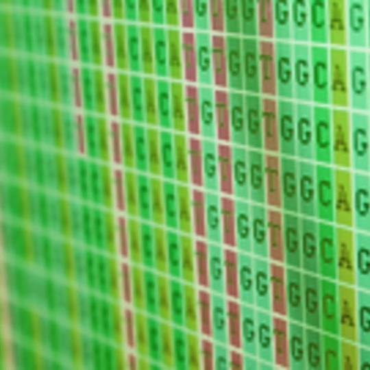 Portada: Capstone de bioinformática vegetal