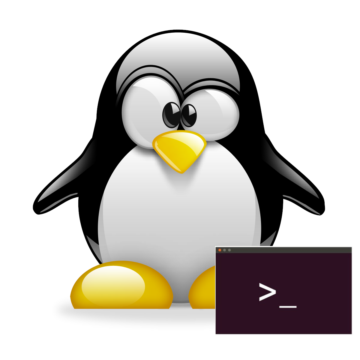 Travailler en ligne de commande sous Linux