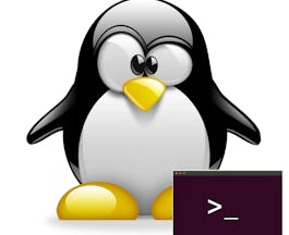 Travailler en ligne de commande sous Linux
