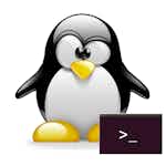 Travailler en ligne de commande sous Linux by Coursera Project Network