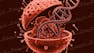 Engineering Genetic Circuits: Abstraction Methods