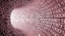 Data Management and Visualization