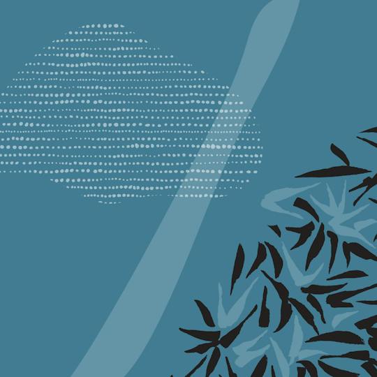 Portada: Profesional de bases de datos autónomas Oracle