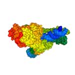 3D SARS-CoV-19 Protein Visualization With Biopython by Coursera Project Network