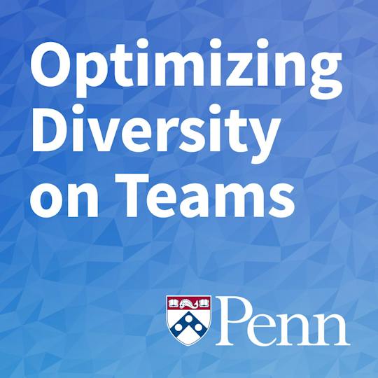 Portada: Optimización de la diversidad en los equipos
