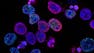 The Little Stuff: Energy, Cells, and Genetics