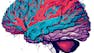 Neural Basis of Imagination, Free Will, and Morality