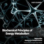 Biochemical Principles of Energy Metabolism 