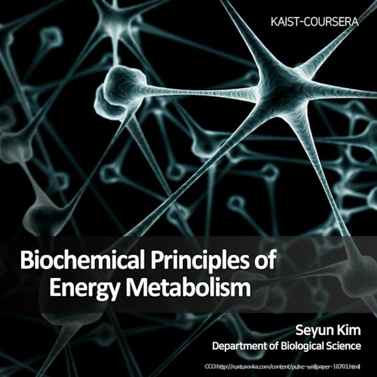 Portada: Principios bioquímicos del metabolismo energético