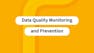 Data Quality Monitoring and Prevention