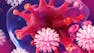 Fundamentals of Immunology: Innate Immunity and B-Cell Function