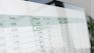 Apply Microsoft Excel Basics for Data Management