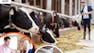 Moving Beyond Basics: Dairy Nutrition and Diet Formulation