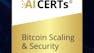 Bitcoin Scaling & Security