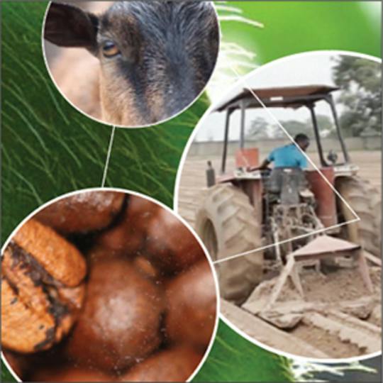 Portada: Transformación del sistema alimentario mundial