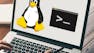 Hands-on Introduction to Linux Commands and Shell Scripting
