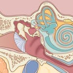 Introduction to Hearing Loss image