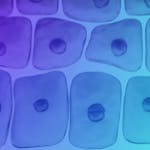 Dermatology: Trip to skin image