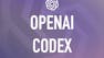 Introduction to OpenAI Codex