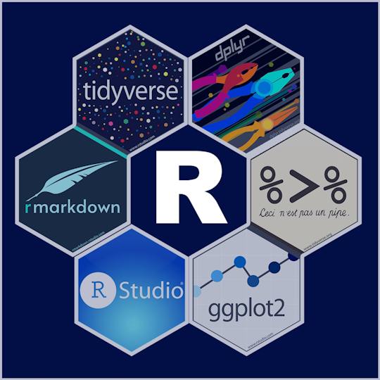 Portada: Introducción a la programación en R y Tidyverse