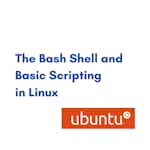 The Bash Shell and Basic Scripting in Linux by Coursera Project Network