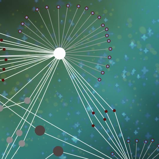 Portada: Proyecto de minería de datos