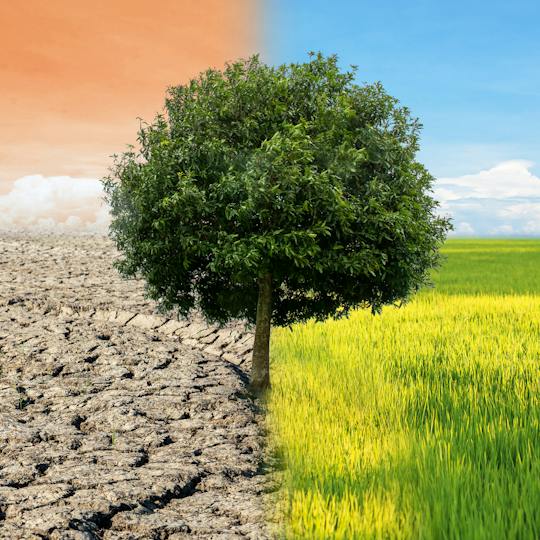 Portada: Ciencia e ingeniería del cambio climático