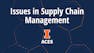 Issues in Supply Chain Management