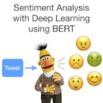Sentiment Analysis with Deep Learning using BERT by Coursera Project Network