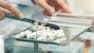 Pharmacy Dosages and Prescriptions Essentials