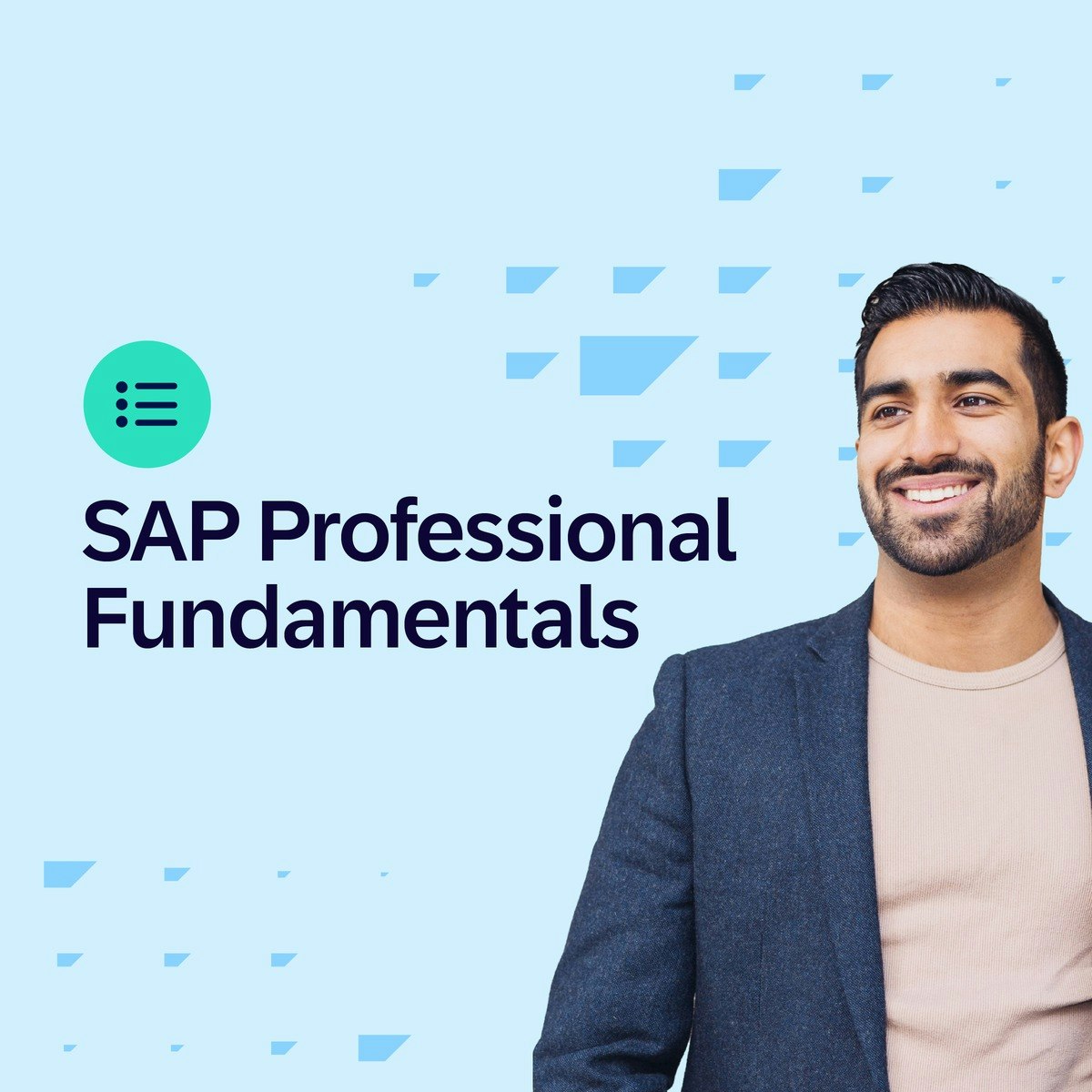 SAP Professional Fundamentals