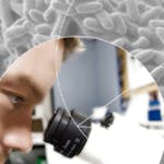 Bacteria and Chronic Infections image