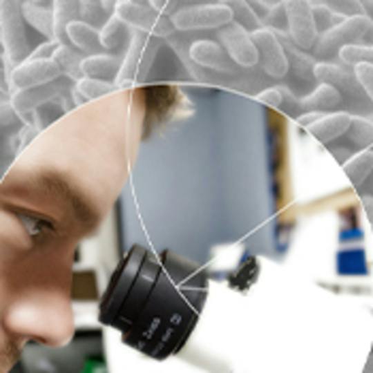Portada: Bacterias e infecciones crónicas