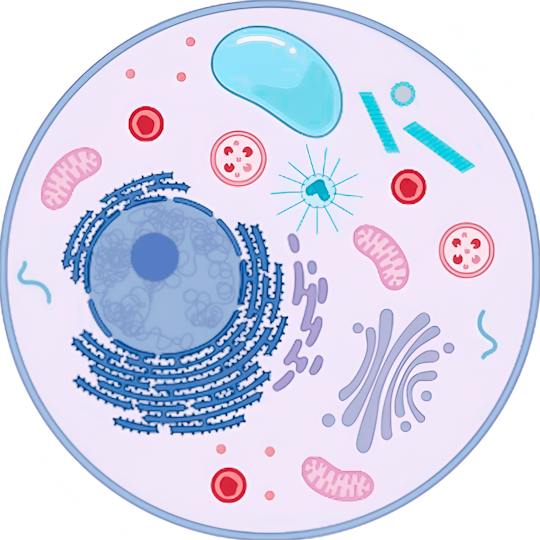 Portada: Fundamentos Bioquímicos de la Vida