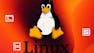 Hands-on Introduction to Linux Commands and Shell Scripting