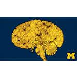 Sleep: Neurobiology, Medicine, and Society by University of Michigan