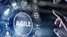 Training on Agile Practices to Manage Complex Projects