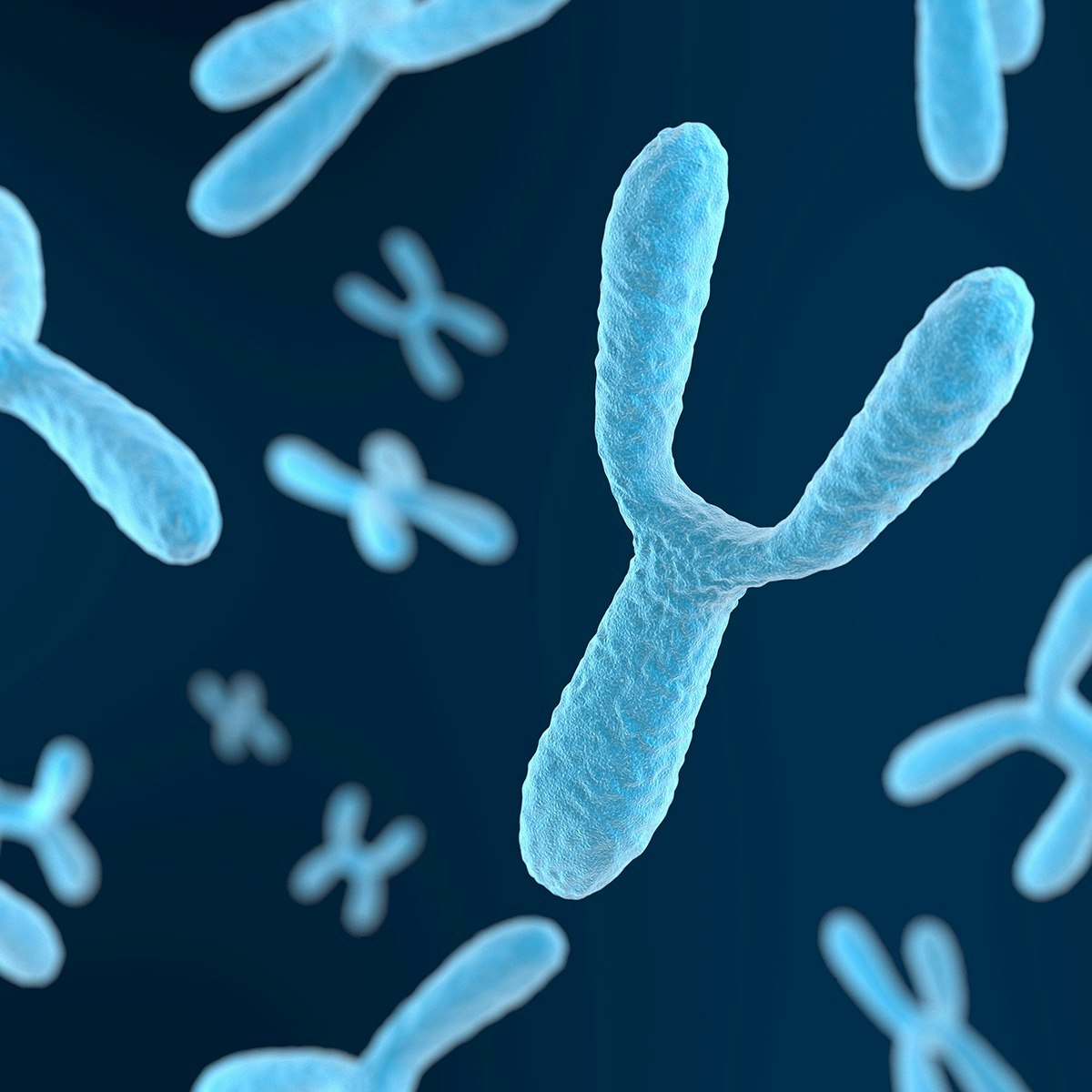 Genetic Mapping and Microbial Genetic Systems
