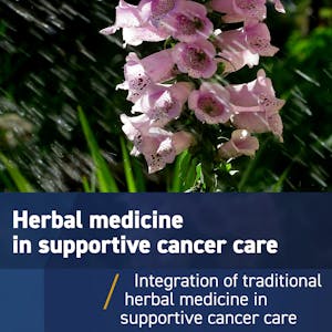 Traditional herbal medicine in supportive cancer care: From alternative to integrative image