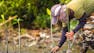 Climate Justice: Natural Climate Solutions