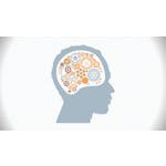 Psychology of Popularity image