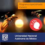 Comportamiento adaptativo by Universidad Nacional Autónoma de México