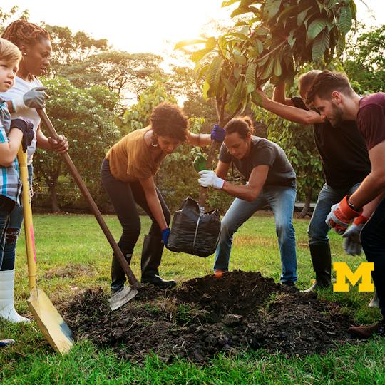 Portada: Actúa sobre el clima: Pasos para la acción individual, comunitaria y política