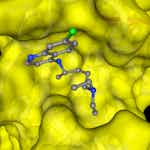 SARS-CoV-2 Protein Modeling and Drug Docking by Coursera Project Network