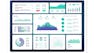 Data and Digital Strategy Execution