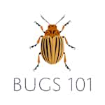 Bugs 101: Insect-Human Interactions by University of Alberta